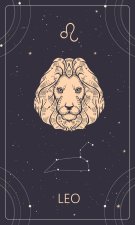 Leu ♌️