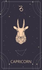 Capricorn ♑️