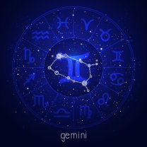 Gemeni ♊️