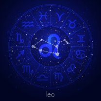 Leu ♌️