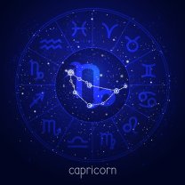 Capricorn ♑️