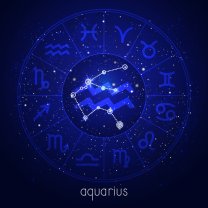 Vărsător ♒️
