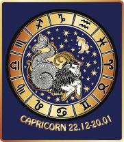 Capricorn ♑️