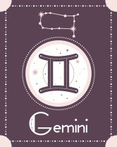 Gemeni ♊️