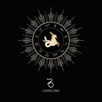 Capricorn ♑️
