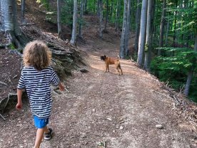 Familia Danei Nălbaru și a lui Dragoș Bucur a renunțat la agitația din Capitală