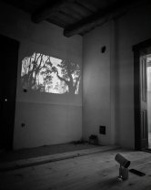 Dana Rogoz deja caută mobilă pentru casa de la Viscri