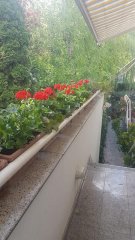 Monica Tatoiu are o priveliște superbă dacă stă pe terasa casei