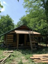 Mihaela Bilic s-a mutat la pădure în sezonul cald