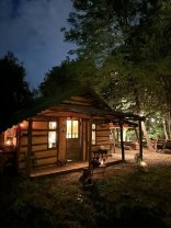 Mihaela Bilic s-a mutat la pădure pentru câteva luni
