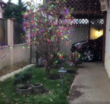 Mirabela Dauer își împodobește toți copacii din curte de sărbători