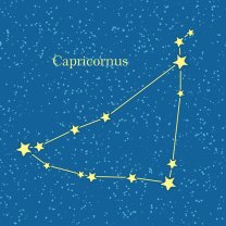 Capricorn ♑️