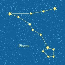 Pești ♓️
