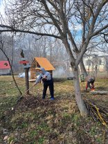 Bodo de la "Proconsul" trăiește în apropiere de Pitești