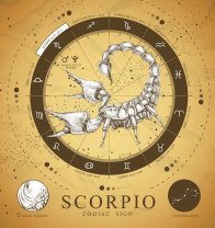 Scorpion