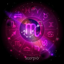 Scorpion