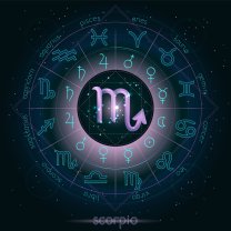 Scorpion
