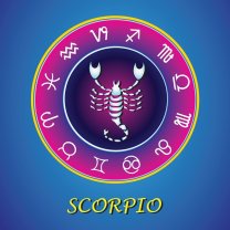 Scorpion
