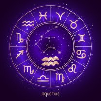 Vărsător ♒️