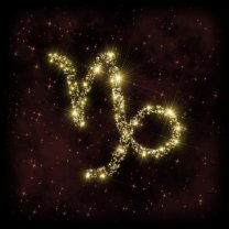 Capricorn