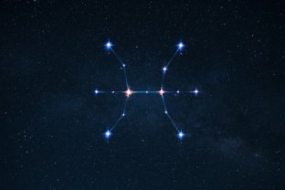 Pești ♓️