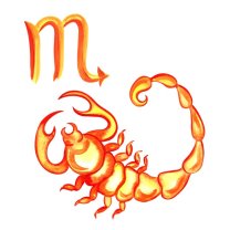 Scorpion