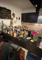 Cum arată casa lui Serghei Mizil din Snagov. Este estimată la un milion de euro și are vedere la lac. Are un bar aprivizionat mereu cu băutură scumpă