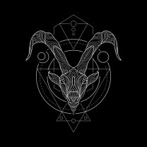 Capricorn ♑️