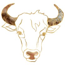 Horoscop mâine, 6 februarie 2025, astrolog Vlad Daia, Taur