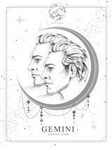 Horoscop mâine, 11 februarie 2025, astrolog Vlad Daia, Gemeni