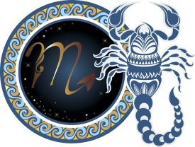 Scorpion