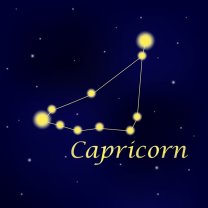 Capricorn ♑️