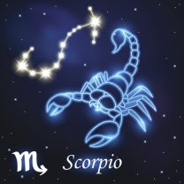 Scorpion