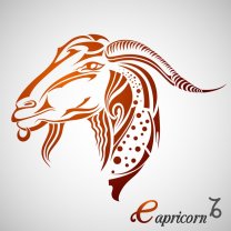 Capricorn ♑️
