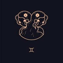 Gemeni ♊️