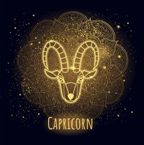 Berbec - Capricorn ♑️