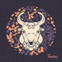 Gemeni - Taur
