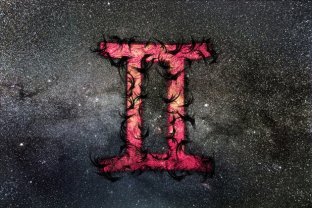 Capricorn - Gemeni