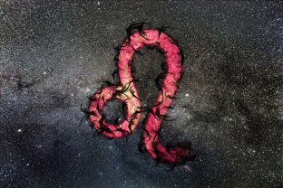 Capricorn - Leu