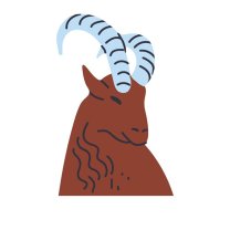 Capricorn ♑️