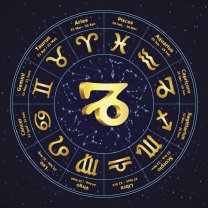 3. Capricorn