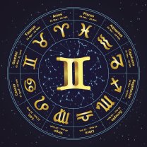 9. Gemeni