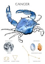 Horoscop mâine, 12 mai 2025, astrolog Vlad Daia, Rac