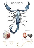 Horoscop mâine, 12 mai 2025, astrolog Vlad Daia, Scorpion