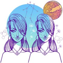 Gemeni ♊️