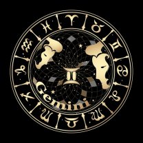 Gemeni ♊️