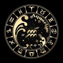 Vărsător ♒️