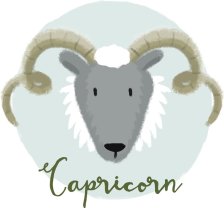 Capricorn ♑️
