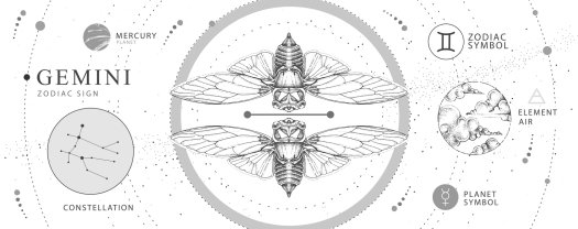 Horoscop mâine, 18 iunie 2025, astrolog Vlad Daia, Gemeni