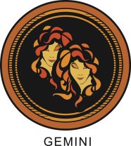 Gemeni ♊️